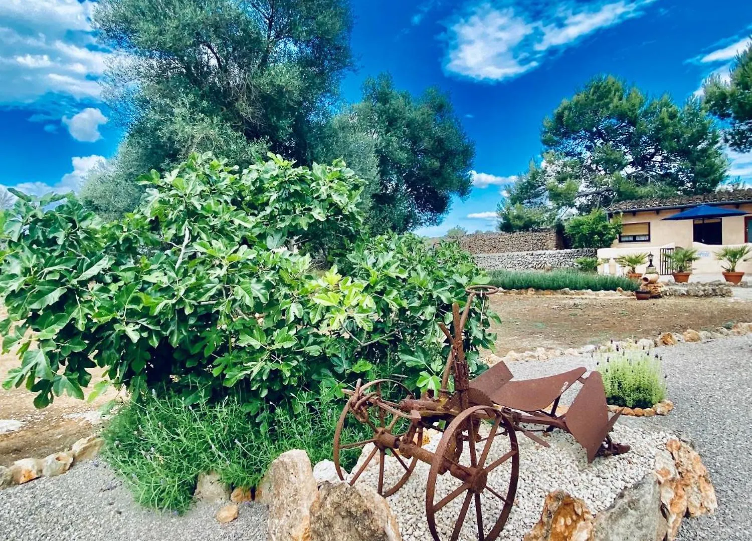 Finca Sa Canova Agroturismo Campos  Bauernhof