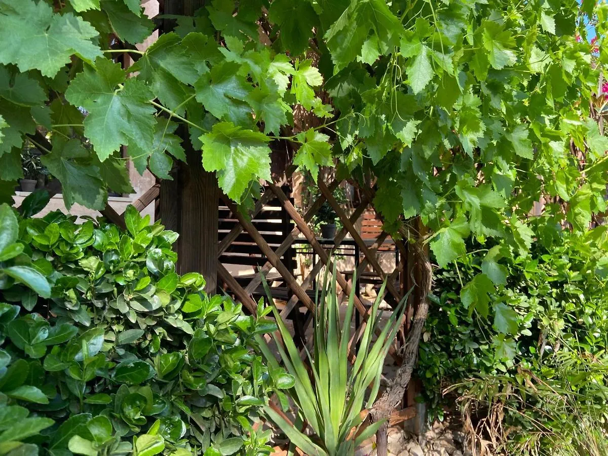 Farm stay Finca Sa Canova Agroturismo Campos
