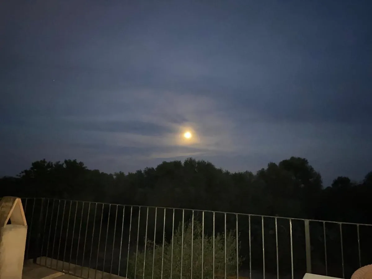 Farm stay Finca Sa Canova Agroturismo Campos  Spain